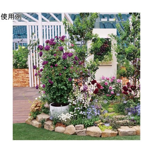 �f�|�����������@�I�x���X�N