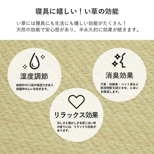 �C�P�q�R���D