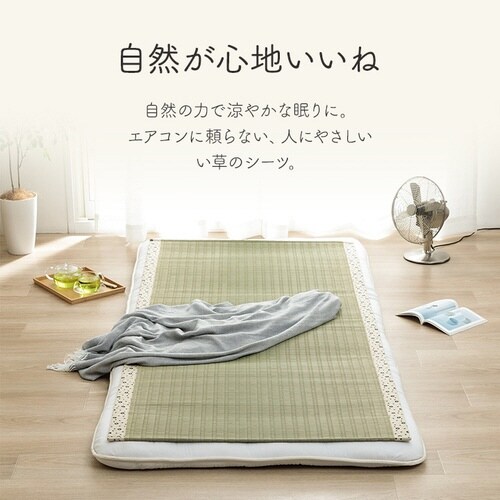 �C�P�q�R���D