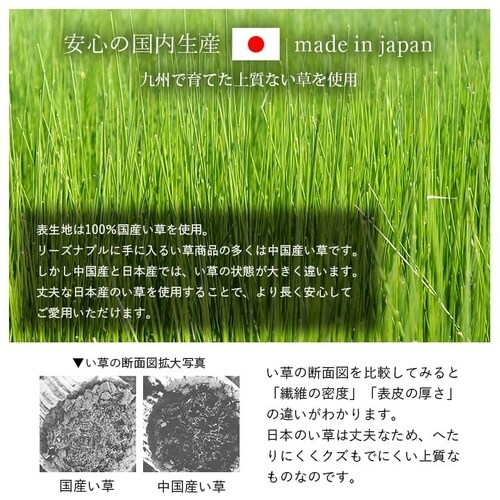 �C�P�q�R���D