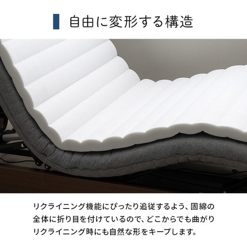 �C�P�q�R���̑�