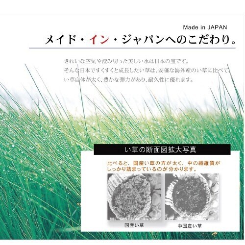 �C�P�q�R�e�i�[��