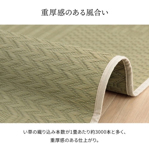 �C�P�q�R�s����