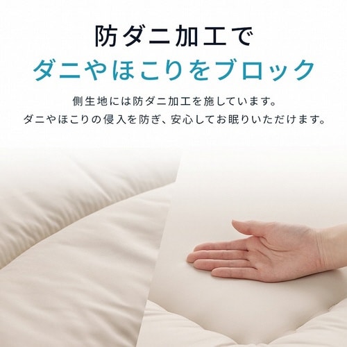 �C�P�q�R�r�уk�[�h