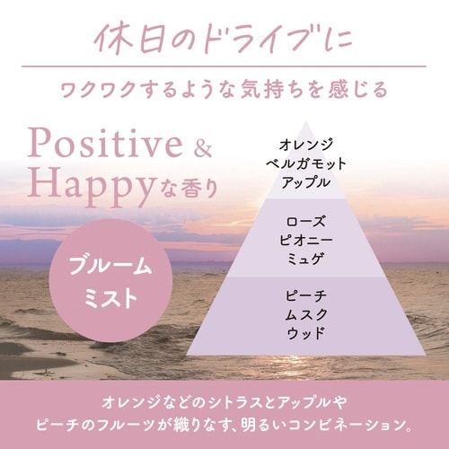 ���L�́@�N���}�@���������t�@�N���b�v