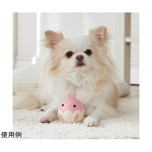 ���炩�s�n�x�@�׃r����