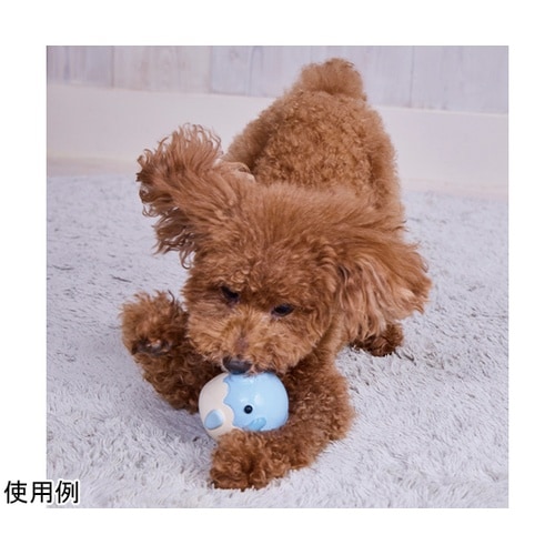 ���炩�s�n�x�@�׃r����