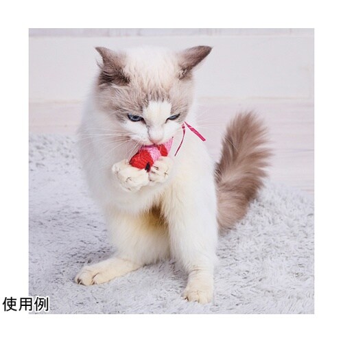 ���C���h�}�E�X�@�`���[�`���[�m�n�h�r�x�p�j�b�N