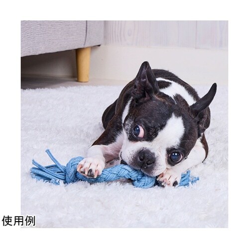 デニムデンタルロープ