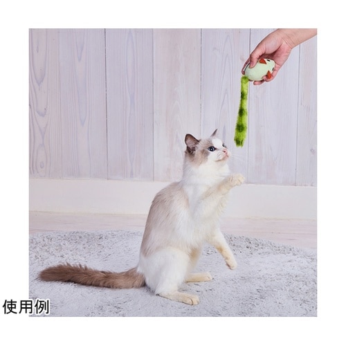 �����O�e�[���}�E�X