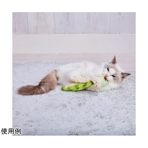 �����O�e�[���}�E�X