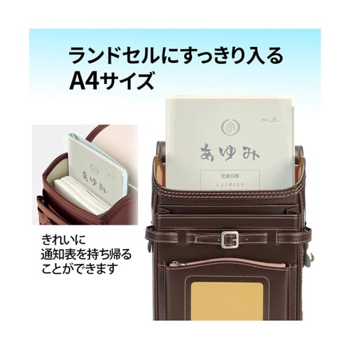 �ʒm�\�z���_�[�@�U�|�P�b�g