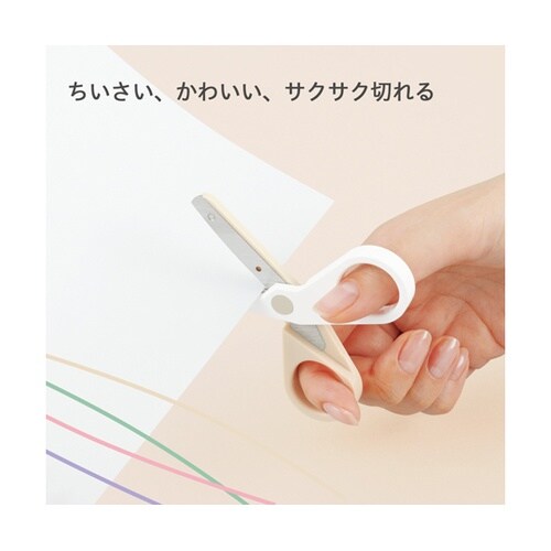 �`�[���f�~�@�V�U�[�Y