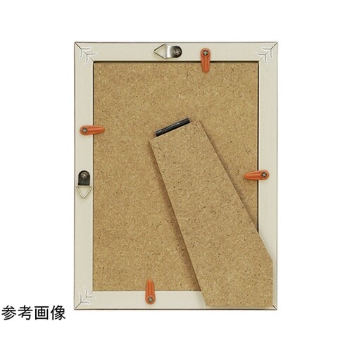 �R���N�V�����t���[���@�t�B�[��