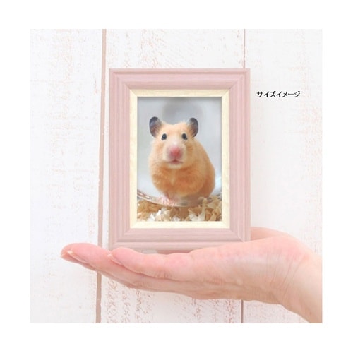 �u�~�j�t���[���@���t�B�l