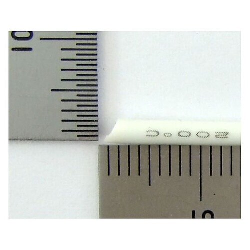 �V���R�����C���[�����@�k�[�Q��