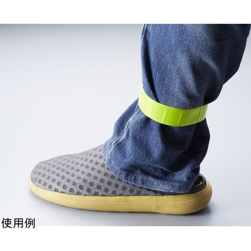 ���������S���˃o���h