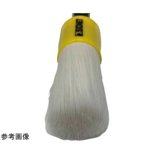 �f�B�e�[���u���V