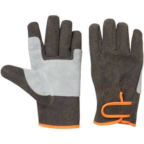 ������v��܁@�J���e�b�N�@�}�W�b�N�@�����A�e�t