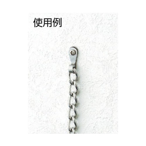 �X�e�����X�r�X�~�ߒ[�q