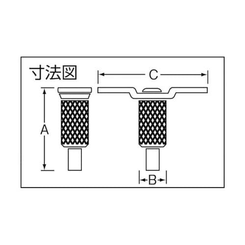 �f�B�X�v���C�p�[�c