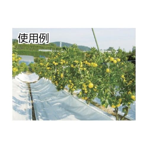 ���C���v���k�^�C�v