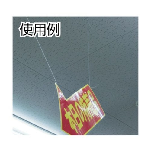 �i�C�����e�O�X