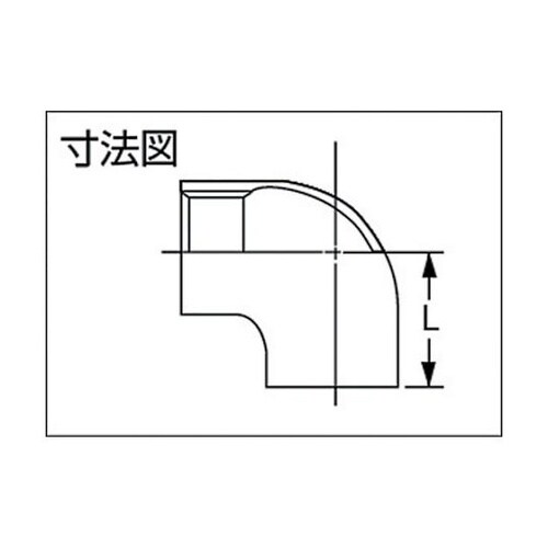 �X�O���G���{