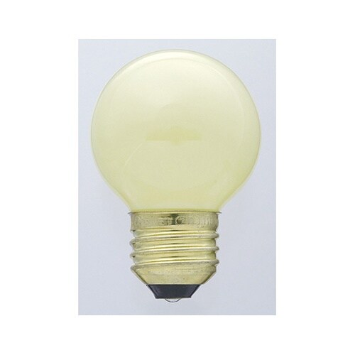 �~�j�{�[��