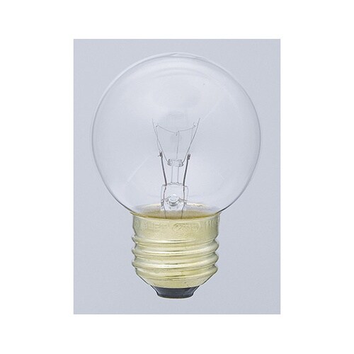 �~�j�{�[��