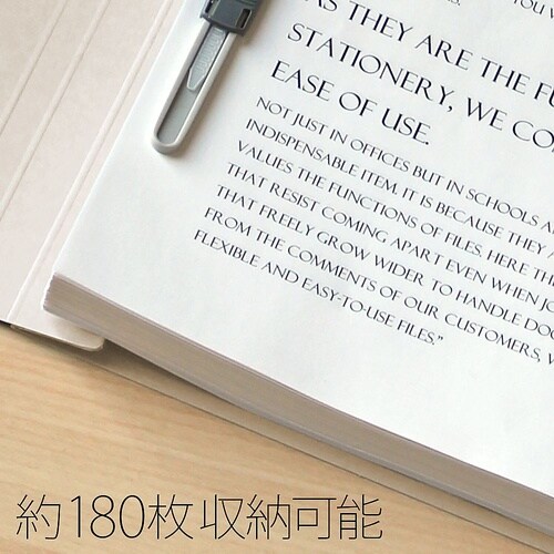 フラットファイル