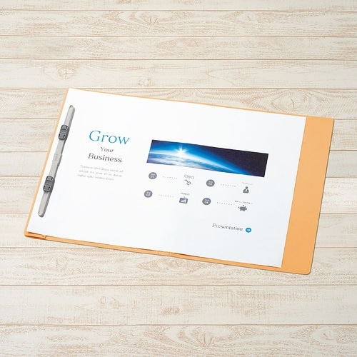 PPフラットファイル