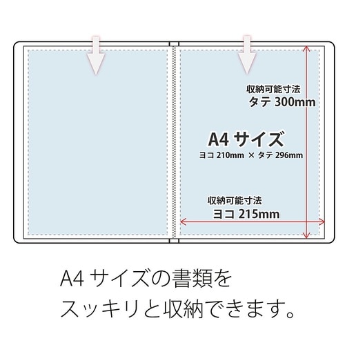 クリアーファイル