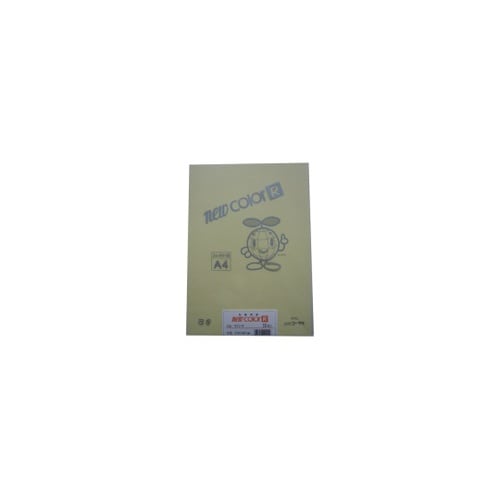 色画用紙R A4