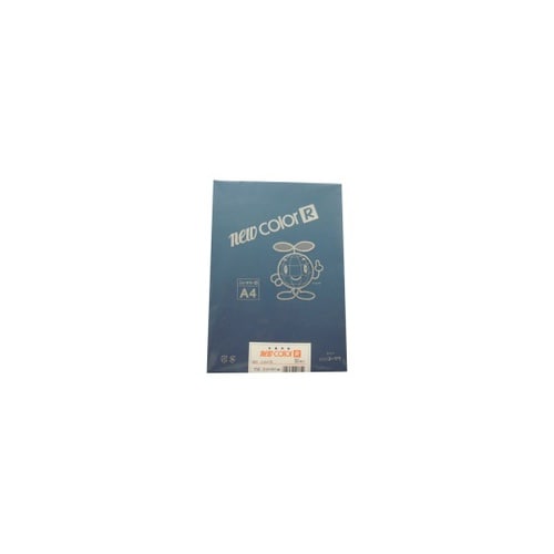 色画用紙R A4
