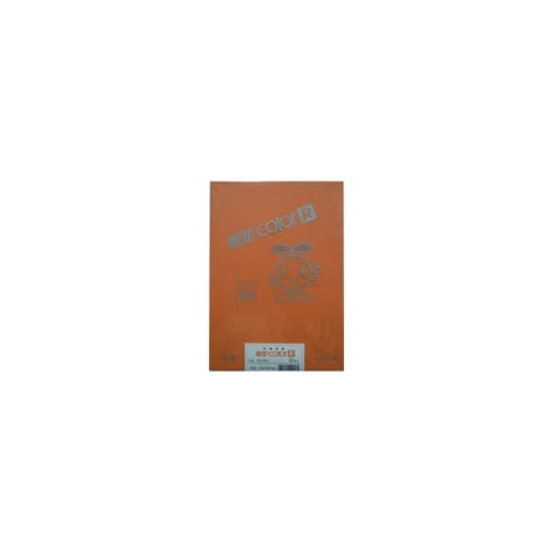色画用紙R A4