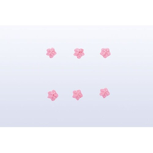 �����@�X�^�[�@�T��