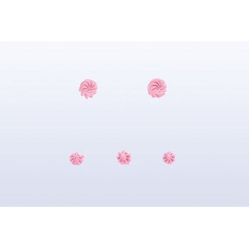 �����@�X�^�[�@�T��