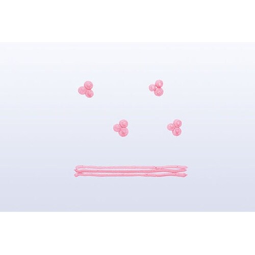 �����@�O��