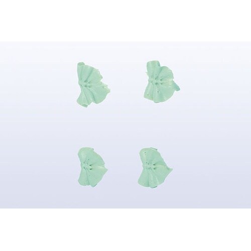 �����@�؂̗t