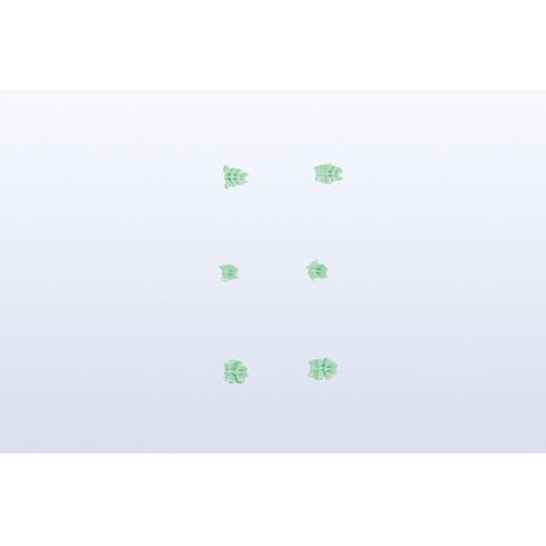 �����@�؂̗t