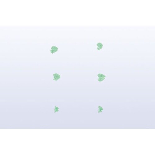 �����@�؂̗t