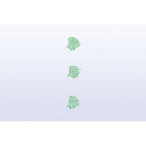 �����@�؂̗t