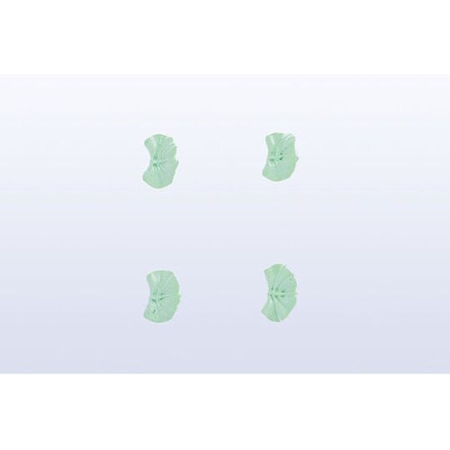 �����@�؂̗t