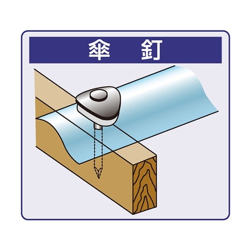 �J���[�P�B