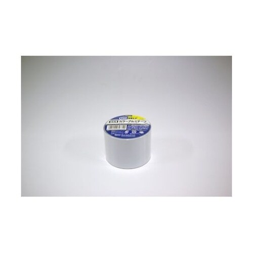 ���ʗp�J���[�A���~�e�[�v