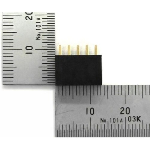 �s���\�P�b�g