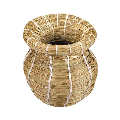 バードルーム ツボ巣