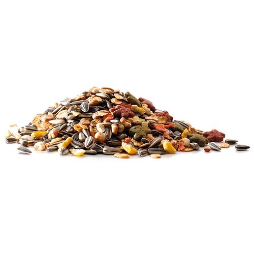 バランスフードプラス