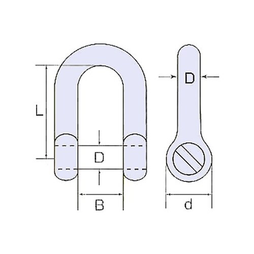 沈みシャックル
